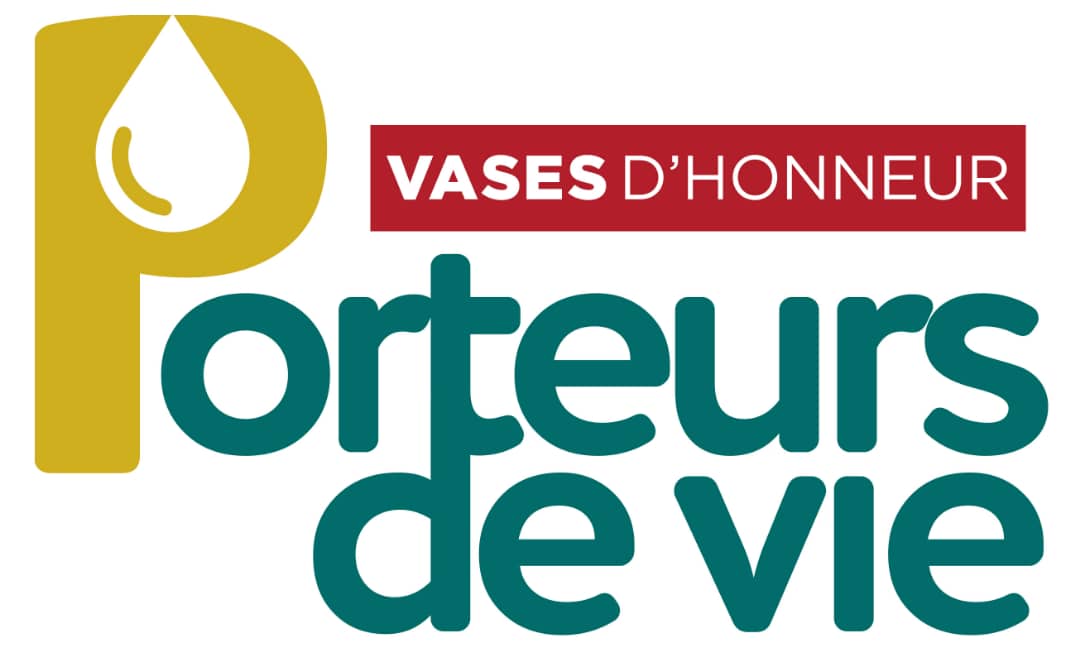Logo PDVIE